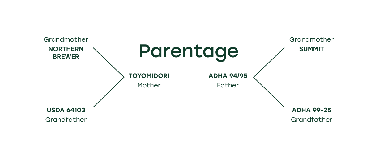 Azacca® Chart